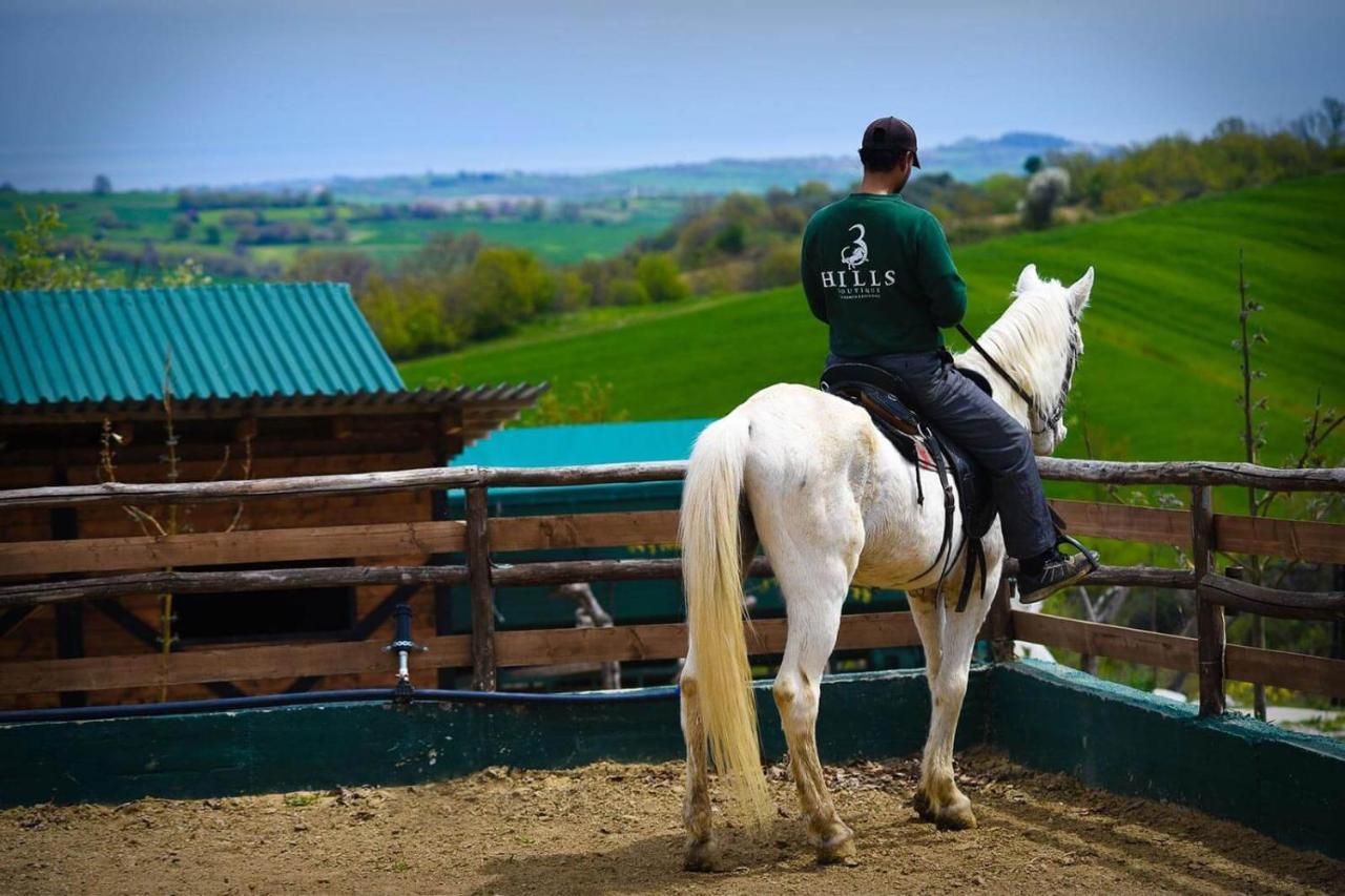 3 Hills Boutique - The Ranch Experience Hotel Trilofos Kültér fotó